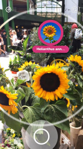 اسکرین شات 5 برنامه Blippar - The Augmented Reality browser