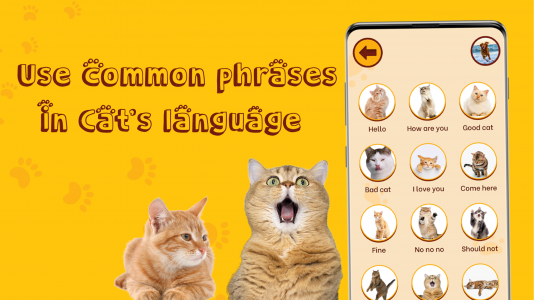 اسکرین شات 1 برنامه Translate for Animal: Cat, Dog