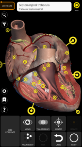 اسکرین شات 3 برنامه Anatomy 3D Atlas