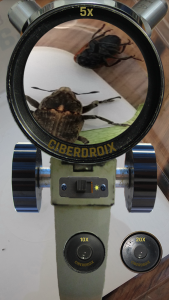 اسکرین شات 8 برنامه Microscope