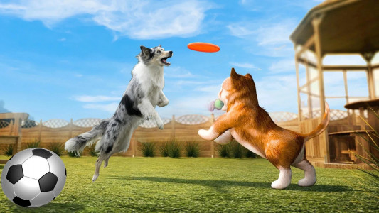 اسکرین شات 1 بازی Dog Simulator : 3D Dog Games
