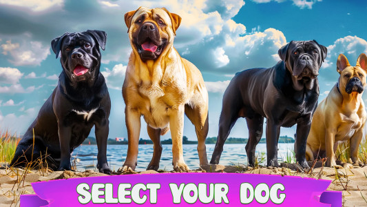 اسکرین شات 3 بازی Dog Simulator : 3D Dog Games