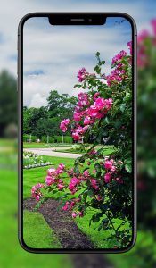 اسکرین شات 7 برنامه Garden Wallpapers