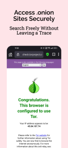 اسکرین شات 3 برنامه Dark Web Browser: Secure