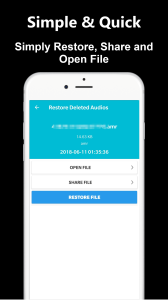 اسکرین شات 6 برنامه Deleted Audio Recovery