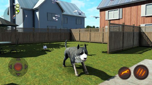 اسکرین شات 6 بازی AmStaff Dog Simulator: Puppy