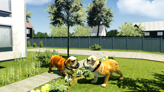 اسکرین شات 4 بازی Bull Dog Simulator 3D