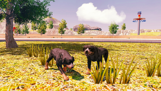 اسکرین شات 4 بازی Rottweiler Dog Simulator 3D