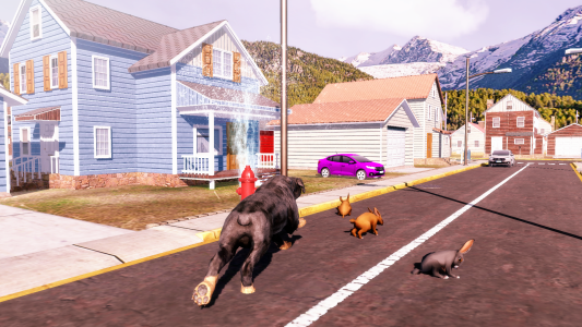 اسکرین شات 1 بازی Rottweiler Dog Simulator 3D