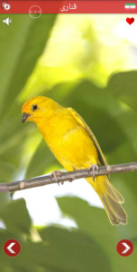 اسکرین شات 4 برنامه صدای حیوانات