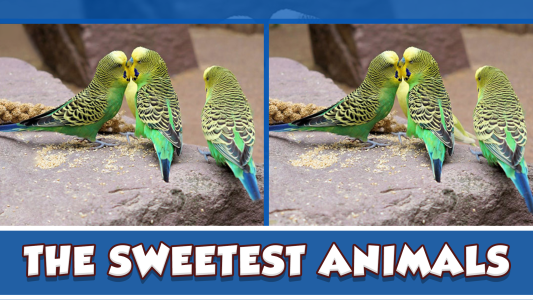 اسکرین شات 2 بازی Find the Difference