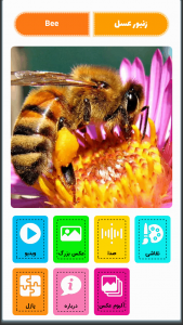 اسکرین شات 3 برنامه ‏آقای قوقولی انگلیسی