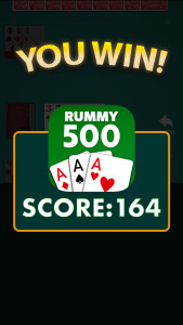 اسکرین شات 8 بازی Rummy 500 - Card Game