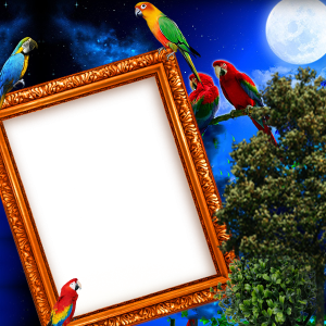 اسکرین شات 3 برنامه Parrot Insta DP