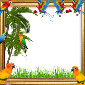 اسکرین شات 2 برنامه Parrot Insta DP