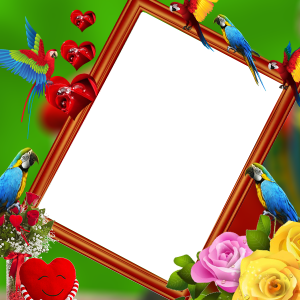 اسکرین شات 1 برنامه Parrot Insta DP