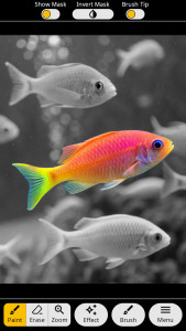 اسکرین شات 1 برنامه Photo Art - Color Effects