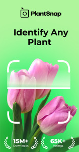 اسکرین شات 1 برنامه PlantSnap: Plant Identifier