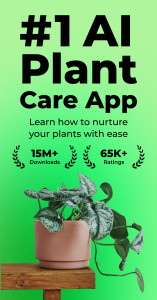 اسکرین شات 8 برنامه PlantSnap: Plant Identifier