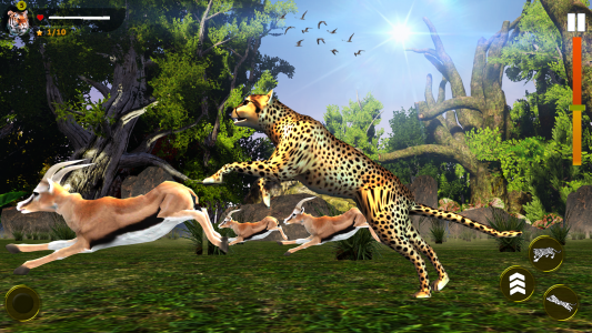 اسکرین شات 4 بازی Wild Simulator 3D