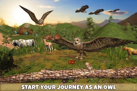 اسکرین شات 2 بازی Owl Bird Simulator Birds Game