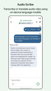 اسکرین شات 5 برنامه Google AI Edge Gallery