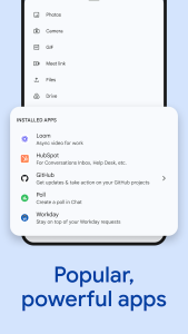 اسکرین شات 7 برنامه Google Chat