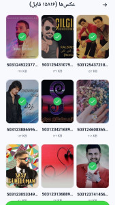 اسکرین شات 3 برنامه ریکاوری حرفهای عکس و فیلم