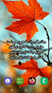 اسکرین شات 6 برنامه شعر حافظ (تصویر زمینه)