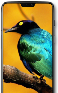 اسکرین شات 4 برنامه Walls4U: 4K Wallpapers + Maker