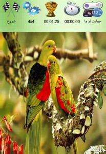 اسکرین شات 1 بازی پازل تصویر