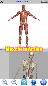 اسکرین شات 1 برنامه Visual Anatomy Lite