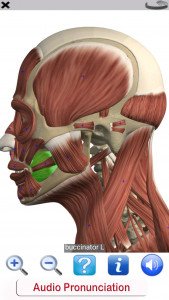 اسکرین شات 5 برنامه Visual Anatomy Lite