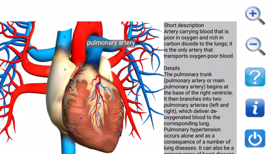اسکرین شات 7 برنامه Visual Anatomy Lite