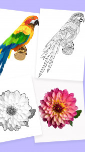 اسکرین شات 7 برنامه Papercopy: Tracer & AR Drawing