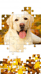اسکرین شات 7 برنامه Jigsaw1000: Jigsaw puzzles