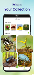 اسکرین شات 5 برنامه Bug Identifier Bug Finder
