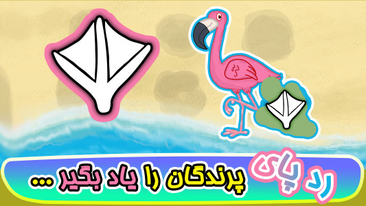 اسکرین شات 6 بازی ‏‏‏‏‏‏‏‏بازی های کودک۴: پرندگان