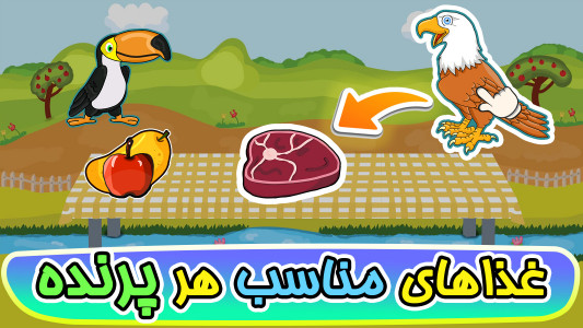 اسکرین شات 11 بازی ‏‏‏‏‏‏‏‏بازی های کودک۴: پرندگان