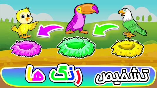 اسکرین شات 12 بازی ‏‏‏‏‏‏‏‏بازی های کودک۴: پرندگان