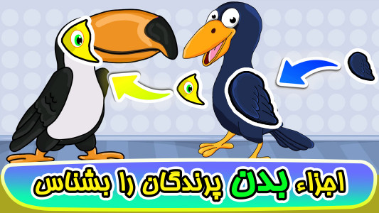 اسکرین شات 4 بازی ‏‏‏‏‏‏‏‏بازی های کودک۴: پرندگان
