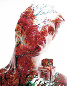 اسکرین شات 1 برنامه Photo Blending Effect