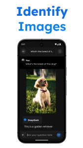 اسکرین شات 4 برنامه Deep Search - AI Chatbot