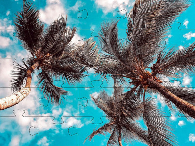 اسکرین شات 8 بازی Jigsaw puzzle without internet