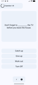 اسکرین شات 8 برنامه Phrasal Verbs