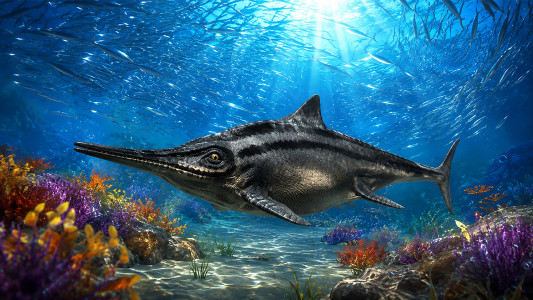 اسکرین شات 5 بازی Ichthyosaurus: Ocean Dino Sim