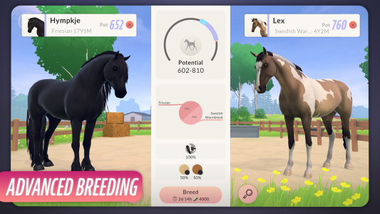 اسکرین شات 5 بازی Equestrian the Game
