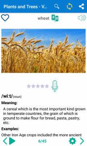 اسکرین شات 7 برنامه Learn English Listening Daily