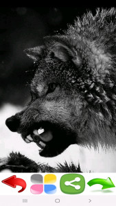 اسکرین شات 3 برنامه تصویر زمینه گرگ