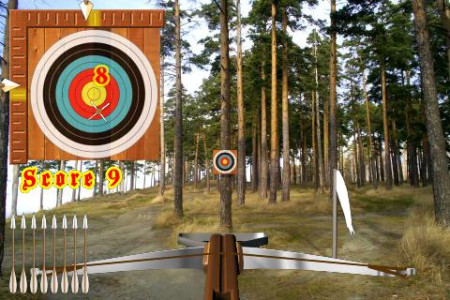اسکرین شات 3 بازی Crossbow Shooting